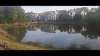 Why We Left Part 106 - SYSBM