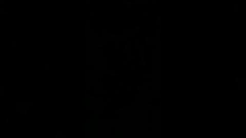 Folks That Are Use To Winning.