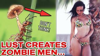 Why Too Much Women And S£X DULLS The Focus Of Great Men