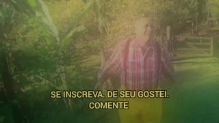 Não seja malucão do mato