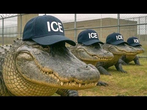 Breaking News Alligator Alcatraz Cherfilus McCormick Resigns Virginia Redistricting 04-22-20226