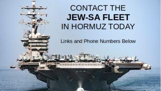 Free The Fleet - Free The JEW-SA