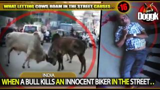 [+16] WHEN A BULL KILLS AN INNOCENT BIKER IN THE STREET.. (INDIA) >> INSANE !! MUST SEE !!!