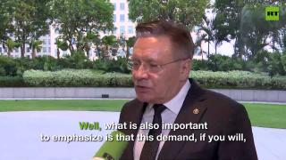 Rosatom chief reveals Russia’s nuclear energy plan for Indonesia