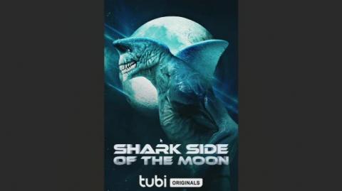 Shark Side of the Moon Review