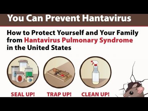 News Talk CDC NO Hantavirus Alabama Underwater BOMB Chicago Walgreens Shutdown 05-15-2026