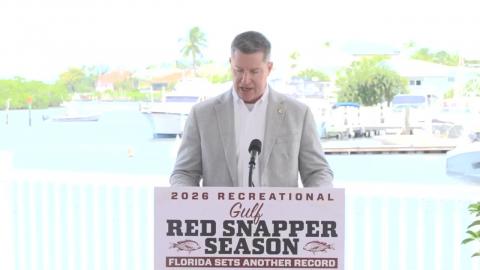 Governor DeSantis Announces Record-Breaking Gulf Red Snapper Season