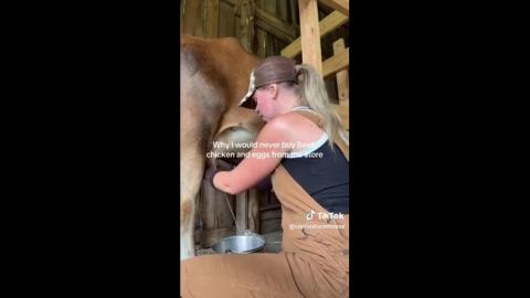 A chick pulling tits