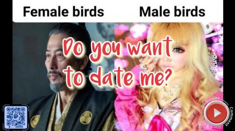 Do you want to date me?