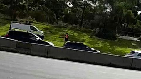 all about the timing Australian government using the citizens to stalk the target