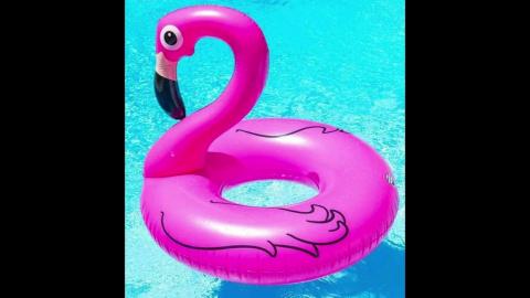 Save the Flamingo! Hamsters to the Rescue!