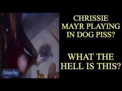 Chrissie Mayr Dog Piss Shower, Red Bar Dunking On Her - HILARIOUS!