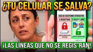 ¿Tu Celular se Salva? Líneas que NO Tienen que Hacer el Registro