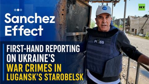 Sanchez Effect | Sanchez in Donbass