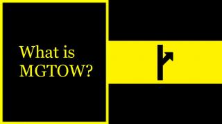 What is MGTOW?