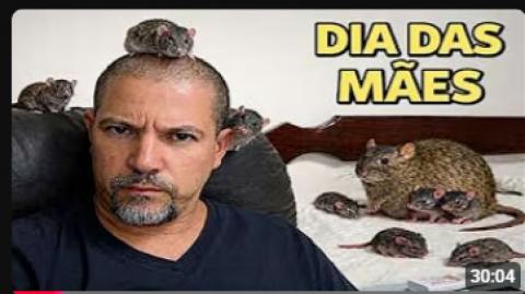 Por que comemorar o Dia das Mães?
