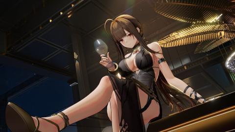 Collecting Dangerous Waifus