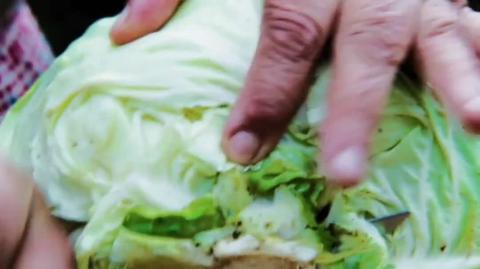 How to make sauerkraut - 300 years old recipe
