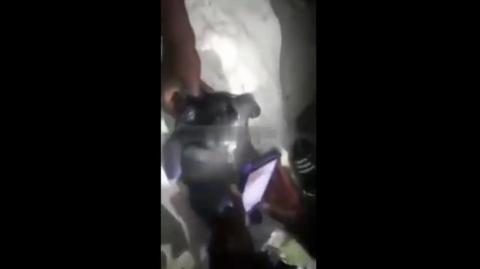 Nigger & Animal Having A Niglet