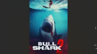 Bull Shark 2 Review