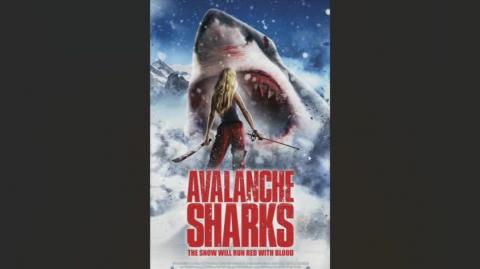 Avalanche Sharks Review