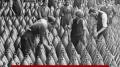 Coletivismo de Guerra (Murray Rothbard)