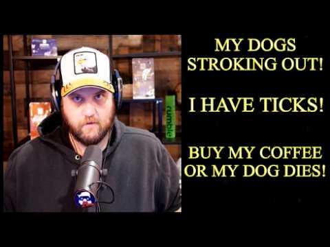 The Quartering Grifts Off Sick Dog, Has Ticks Inside Him, Guilt Trips Viewers