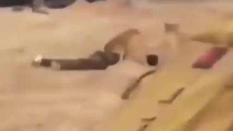 The Dog Shit JEWS feed the dead to the dogs - Gaza