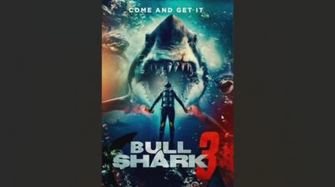 Bull Shark 3 Review