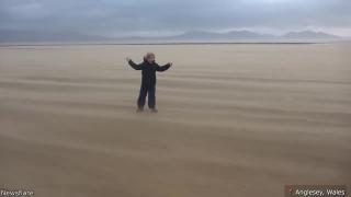 The Craziest Nature Videos Ever