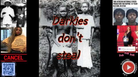 Darkies don't steal