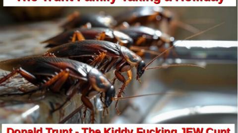 Trunt the Kiddy Fucking JEW Cunt Family Holliday