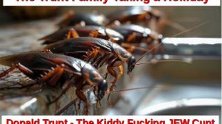 Trunt the Kiddy Fucking JEW Cunt Family Holliday