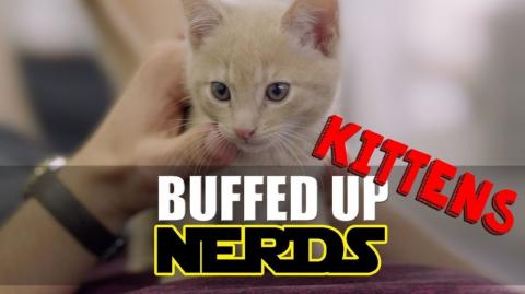 Buffed Up Nerds - Week 10 - KITTEN YOGA! | Viva La Dirt League (VLDL)