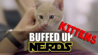 Buffed Up Nerds - Week 10 - KITTEN YOGA! | Viva La Dirt League (VLDL)