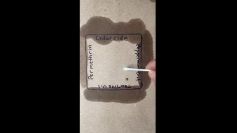 Lone Star Tick Repellent Test
