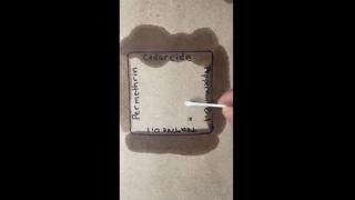Lone Star Tick Repellent Test