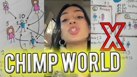 CHIMP WORLD