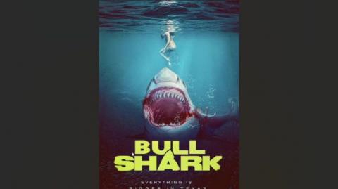 Bull Shark Review