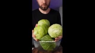 How to ferment cabbage the old-school way