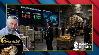 Interview: The Dollar System Is Collapsing And They Can’t Stop It
