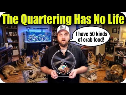 The Quartering Vlogs He Has No Life | WOW!