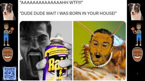 Nigga Wut