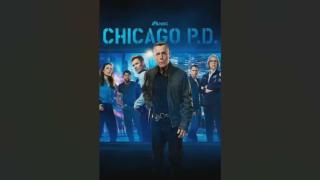Chicago P D Review