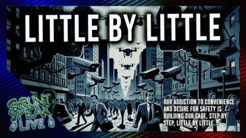 Little By Little - The Great Flockening