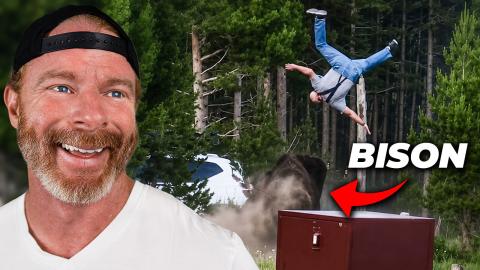 Stupid Man vs 2,000lb Bison (LOL)