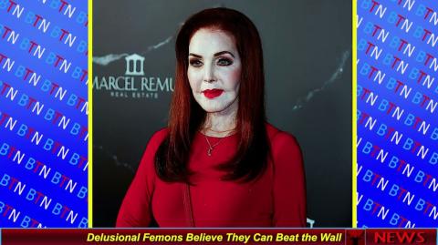 Delusional Femons Believe They Can Beat the Wall