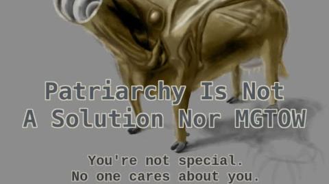 Patriarchy Is Not A Solution Nor MGTOW