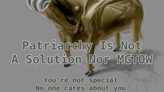 Patriarchy Is Not A Solution Nor MGTOW