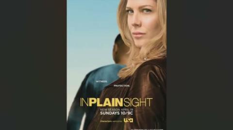 In Plain Sight (2008) Review